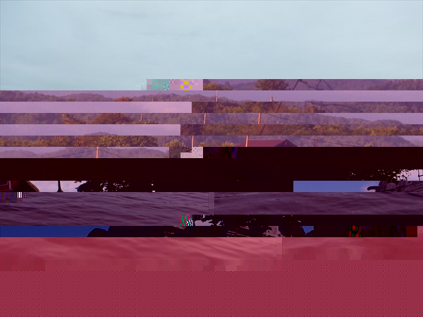 DSCN4682
