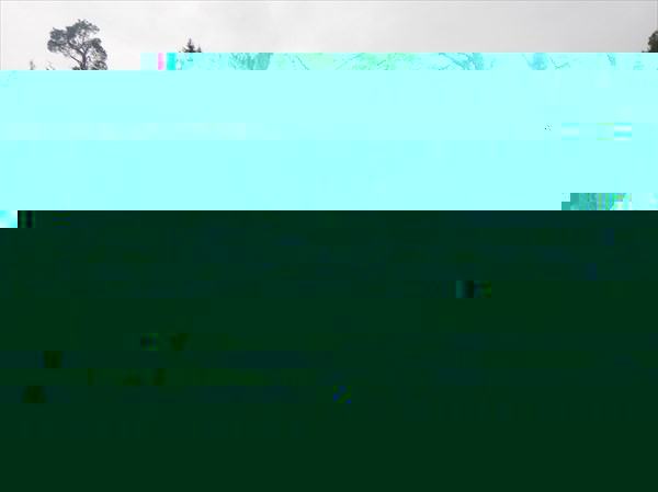 DSCN4835