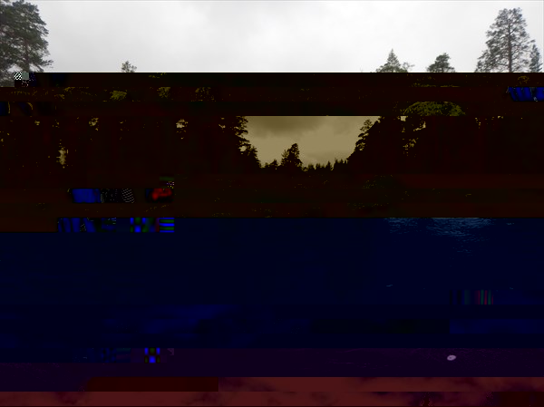 DSCN4869
