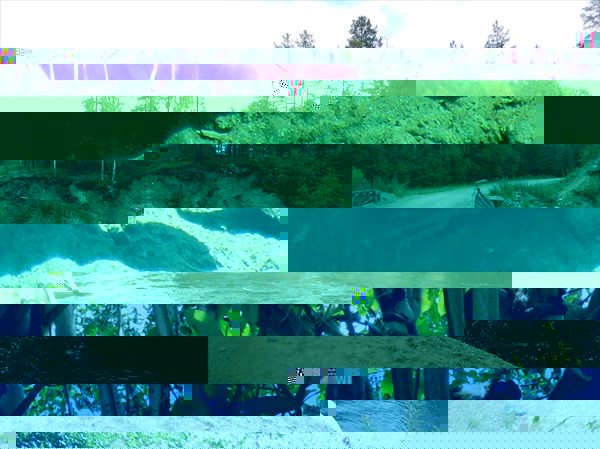 DSCN5082
