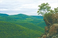 Баконь-хребет Баконь