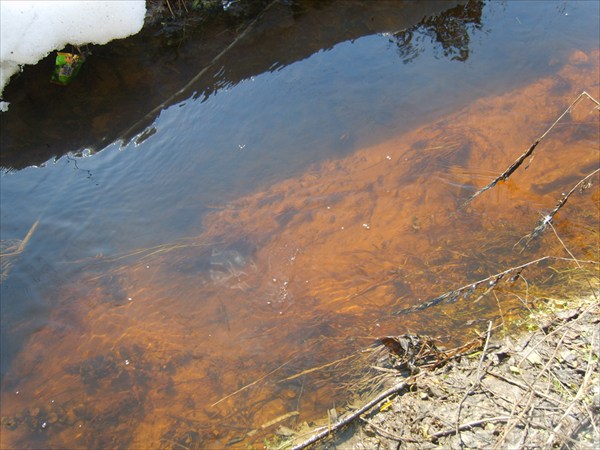 водица