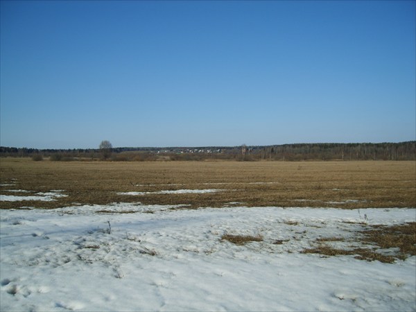 красота