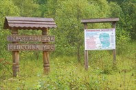 15623912-природный парк "Вепсский лес"
