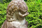 Китайский лев, типичный страж ворот в сад
