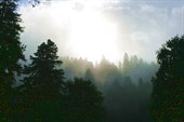 Утренний туман в Софийском ущелье