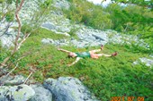 DSC02787