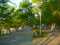 Бульвар Анапы