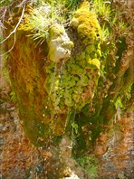 Стекающая вода. Анапа, высокий берег