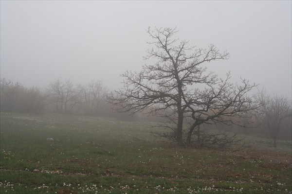 Туман на Караби.