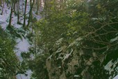 Каньон