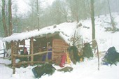 кош пастухов