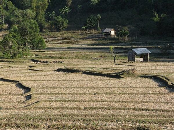 Типичный деревенский пейзаж