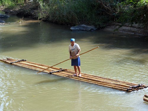 Бамбуковые плоты на реке