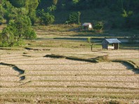 Типичный деревенский пейзаж