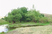 брод через ручей Колнабук