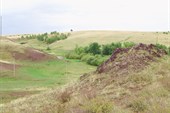 перед грозой