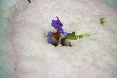 DSCN2930