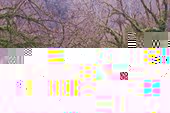Fhf4uJInH5c