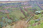 IMG_4857