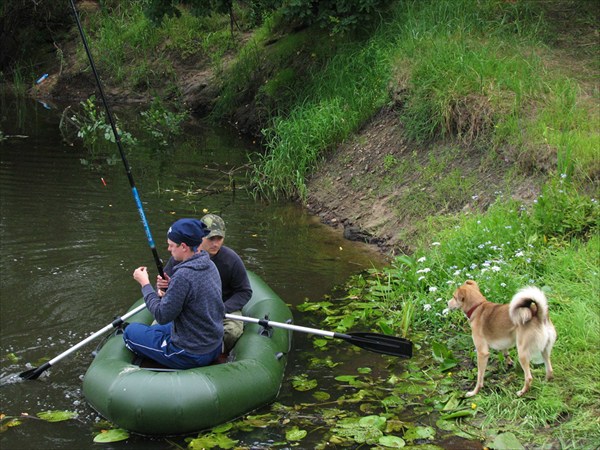 2010-07-03--13-41-09 помошничек :о)