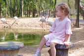 В розовом