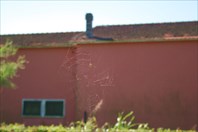 IMG_6688