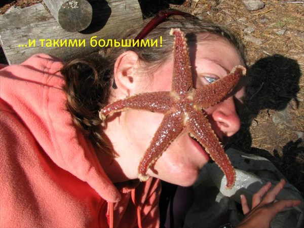 Слайд16