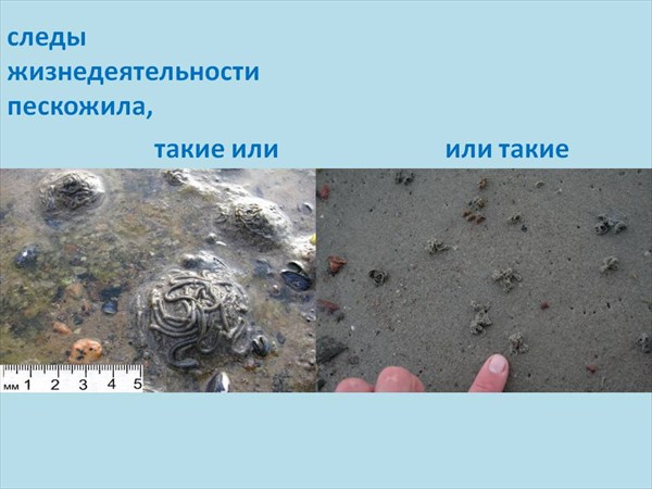 Слайд4