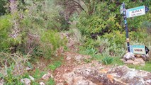 IMG_20220306_120843