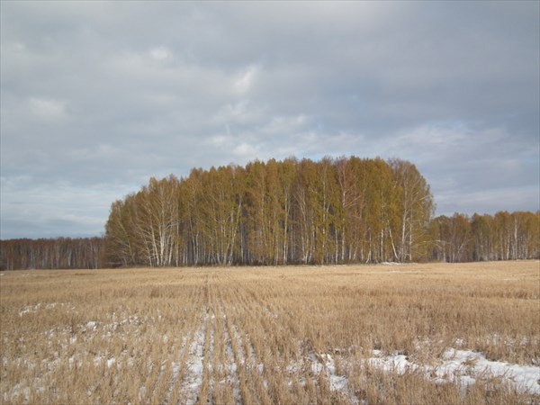 В полях.