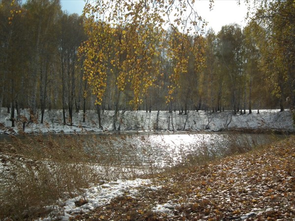 Россыпи серебра и брызги золота.