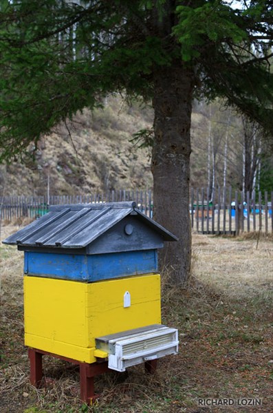 Село Чуря. Пасека