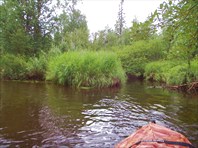 Дорога раз-два яица. Налево Кинемур, направо - руч. Холодный