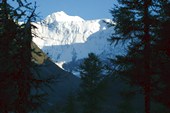 IMG_7115