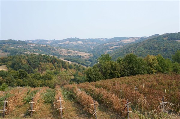 Вид с дороги