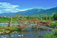 DVL_5767-01