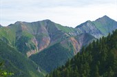 Тунки
