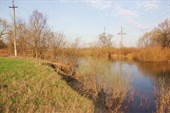 IMG_5937