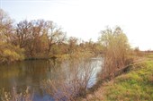 IMG_5938