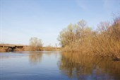 IMG_5941