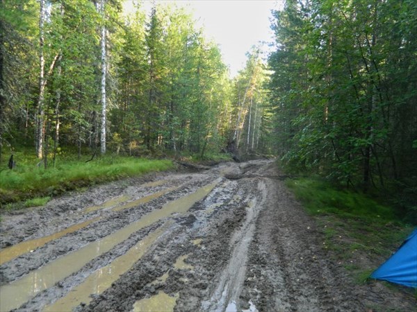 Вездеходка.