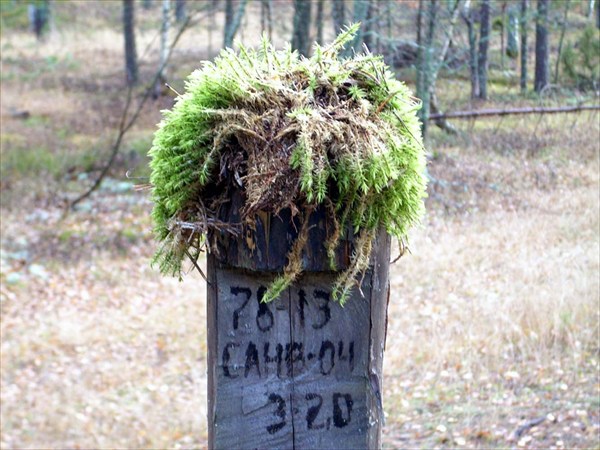 Старичок-лесовичок