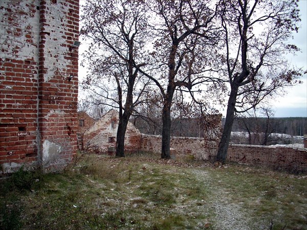 Деревья за храмом