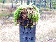 Старичок-лесовичок