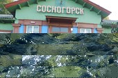 DSCN4955