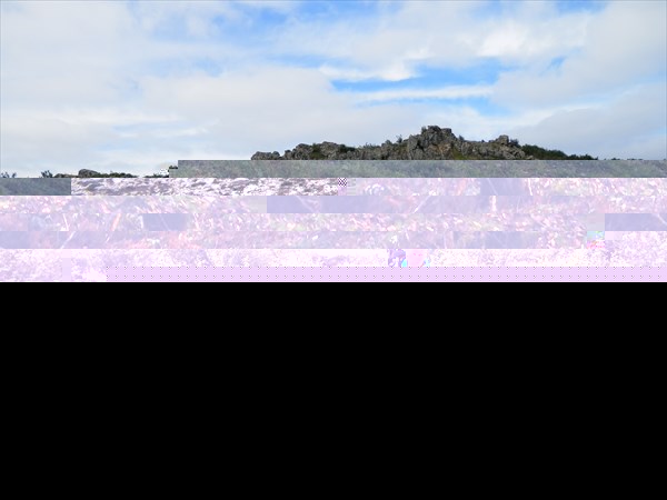 P8010063