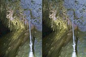 IMG_4344w2