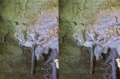 IMG_4397w2