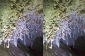 IMG_4412w2